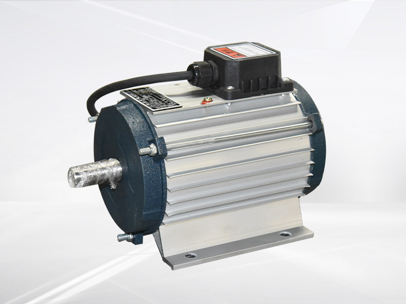 風(fēng)機(jī)專用電機(jī)
